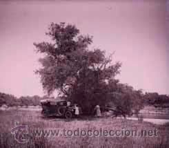 Fotografia antiga: Picnic. Automovilismo. Familia , r&iacute;o, y &aacute;rbol. c. 1922