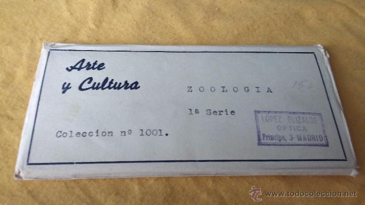 Fotografia antiga: VISTAS ESTEREOSCOPICAS- 15 VISTAS DE ZOOLOG&Iacute;A. COLECCION N&ordm; 1001 SERIE 1&ordm;