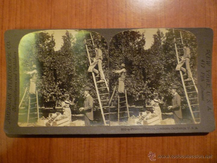 Fotografia antiga: FOTOGRAFIA ESTEREOSCOPICA AMERIAN STEREOSCOPIC CO. PPIOS S.XX. IMAGEN COTIDIANA