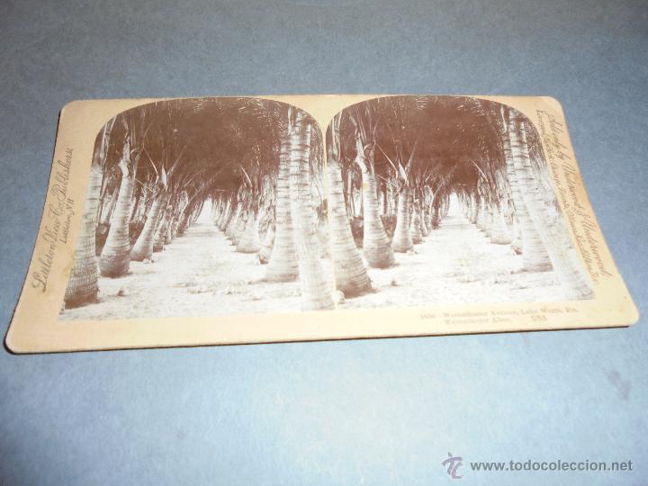 Fotograf&iacute;a antigua: ESTEREOSC&Oacute;PICA - USA 1656 WESTMINSTER AVENUE ,LAKE WORTH. FLA. USA  - 18X9 CM.