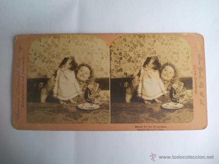Antique Photography: Estereoscopica de 1896 New-York Broadway 725.727. Ready for his breakfast Stereo Stereoscopique