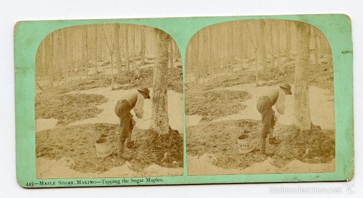 Fotograf&iacute;a antigua: Estereosc&oacute;pica. Elaboraci&oacute;n de az&uacute;car de arce.   Stereoscopic views of Vermont and Other Senery. Pub