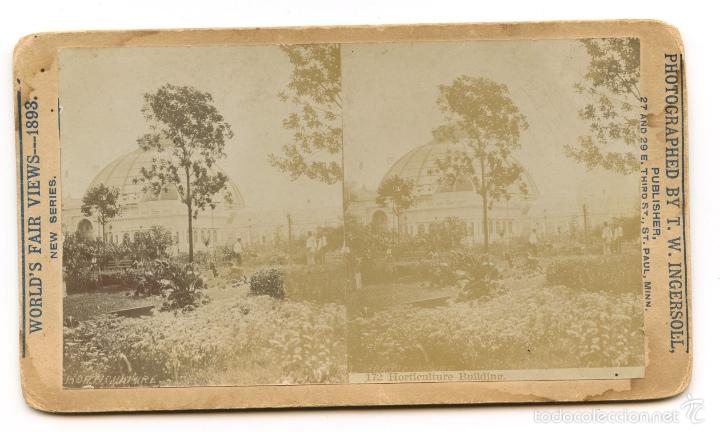 Fotograf&iacute;a antigua: Estereosc&oacute;pica. Invernadero.  World's fair views - 1893. New Series.   Photographed by T.W.Ingersoll