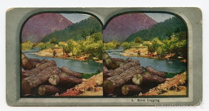 Antique Photography: Estereosc&oacute;pica fotomec&aacute;nica coloreada. Le&ntilde;a talada al lado de un r&iacute;o.