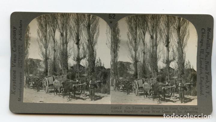 Antique Photography: Carros tirados por bueyes en Chile.   Keystone View Company.  Copyrighted Made in U.S.A.  Manufactur