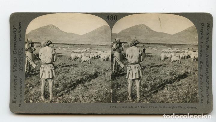 Photographie ancienne: Pastores con su reba&ntilde;o en la Planicie Argiva, Grecia.  Keystone View Company.  Copyrighted Made in U