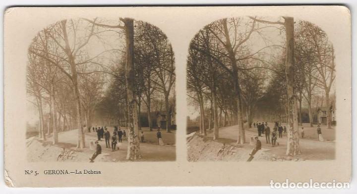Photographie ancienne: GERONA.- LA DEHESA