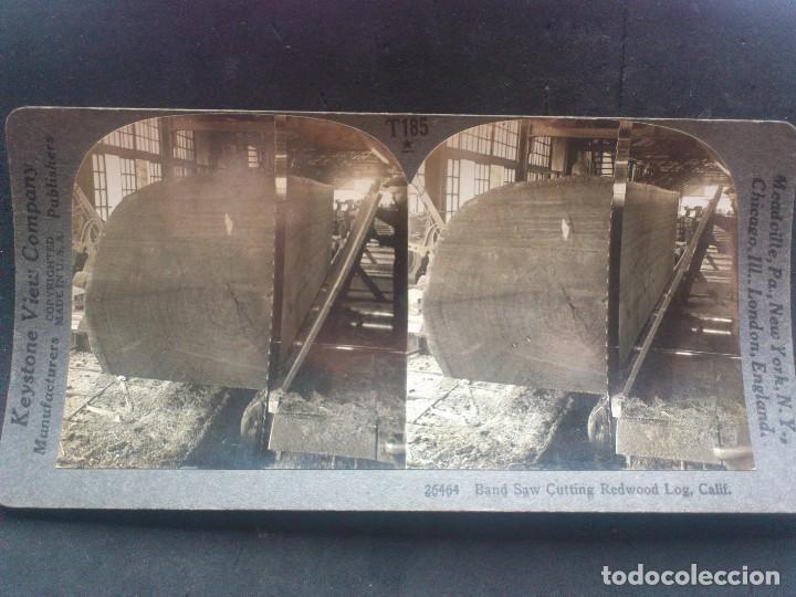 Fotografia antica: FOTOGRAFIA ESTEREOSCOPICA, KEYSTONE VIEW COMPANY, CINTA DE CORTE SECOYA, CALIFORNIA