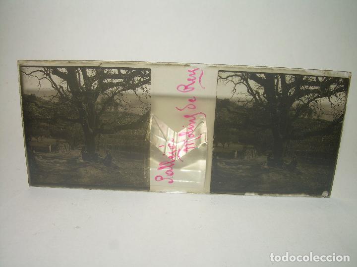 Additional photo 1