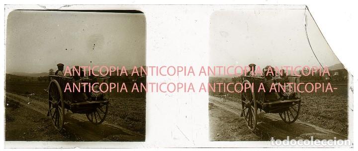 Fotografia antica: ESTEREOSCOPIA DE CRISTAL DE LLAVANERAS PRINCIPIO DEL SIGLO XX-BARCELONA