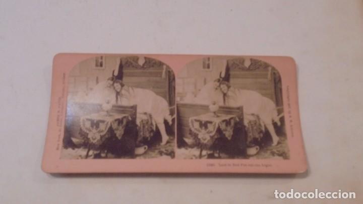 Photographie ancienne: ESTEREOSCOPICA 11645 , PHOTOGRAPHED AND PUBLISHED BY BW KILBURN , LITTLETON N.H