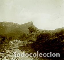 Fotografia antica: Precioso paisaje. Baix Llobregat. c. 1920