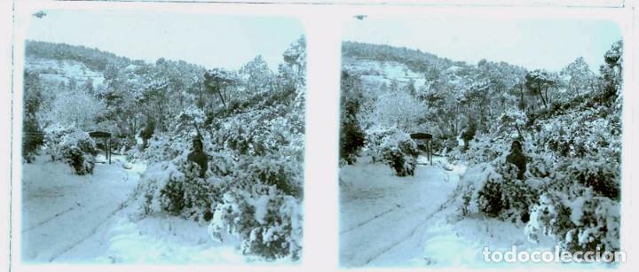 Fotografia antiga: FOTOGRAFIA ESTEREOSCOPICA POSIBLEMENTE DE MASOTERAS, LERIDA, A&Ntilde;O 1915 APROX, MIDE 12,9 X 5,9 CMS.