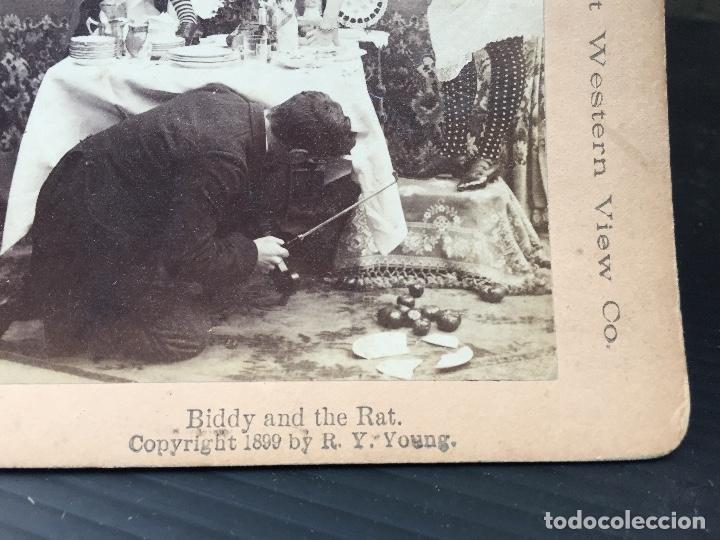 Fotografia antica: BIDDY Y LA RATA , 1897, USA