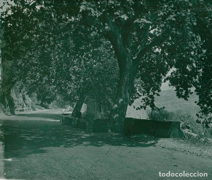 Fotografia antiga: Montserrat. Carretera. Descanso bajo un gran &aacute;rbol. 1949