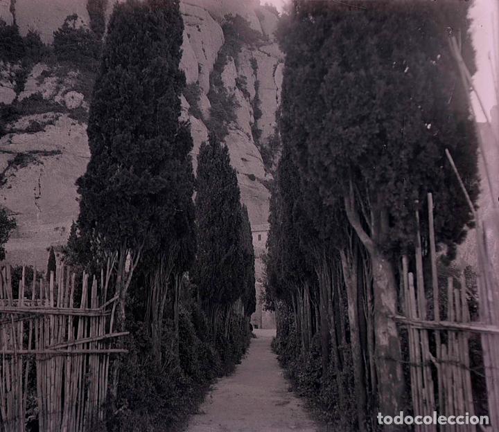 Photographie ancienne: MONTSERRAT. Monasterio antes de la guerra. Jardin y cipreses. c. 1920