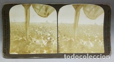 Photographie ancienne: FOTOGRAFIA ESTEREOSCOPICA. MULTITUD EN LA APERTURA EXPOSICION DE JAMESTOWN, A&Ntilde;O 1907- P-ESTEO-030