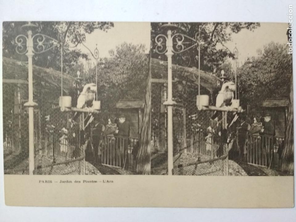 Photographie ancienne: POSTAL ESTEREOSCOPICA, PARIS - JARDIN DES PLANTES, SIN CIRCULAR