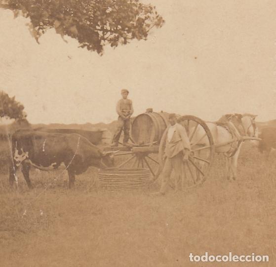 Photographie ancienne: ANDALUCIA.- FAENAS DEL CAMPO