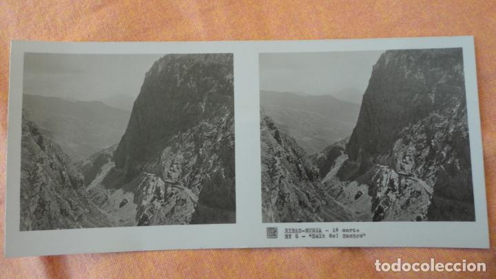 Fotograf&iacute;a antigua: ANTIGUA FOTOGRAFIA ESTEREOSCOPICA.RIBAS-NURIA.SALT DEL SASTRE.RELLEY N&ordm; 6
