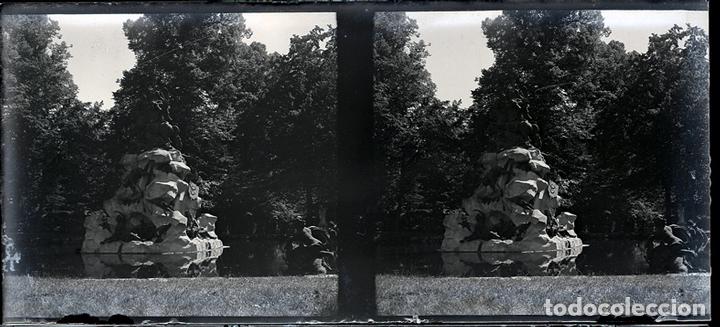 Fotograf&iacute;a antigua: LA GRANJA NEGATIVO CRISTAL ESTEREOSC&Oacute;PICA