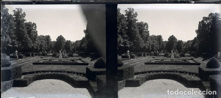 Fotograf&iacute;a antigua: LA GRANJA NEGATIVO CRISTAL ESTEREOSC&Oacute;PICA