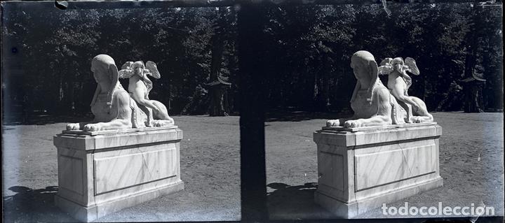 Fotograf&iacute;a antigua: LA GRANJA NEGATIVO CRISTAL ESTEREOSC&Oacute;PICA