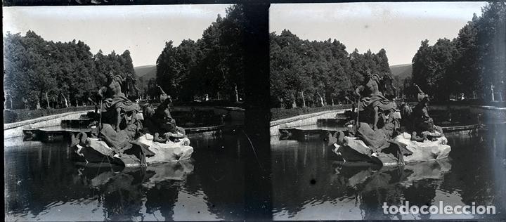 Fotograf&iacute;a antigua: LA GRANJA NEGATIVO CRISTAL ESTEREOSC&Oacute;PICA