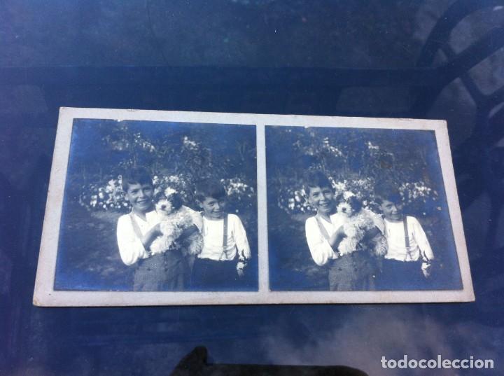 Photographie ancienne: FOTOGRAF&Iacute;A ESTEREOSC&Oacute;PICA. NI&Ntilde;OS CON UN PERRO EN BRAZOS