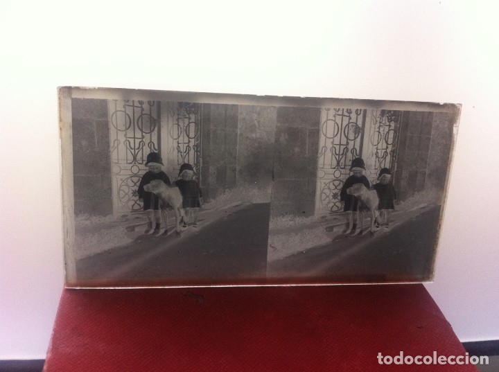 Fotografia antiga: CRISTAL ESTEREOSC&Oacute;PICO. NI&Ntilde;OS CON PERRO.