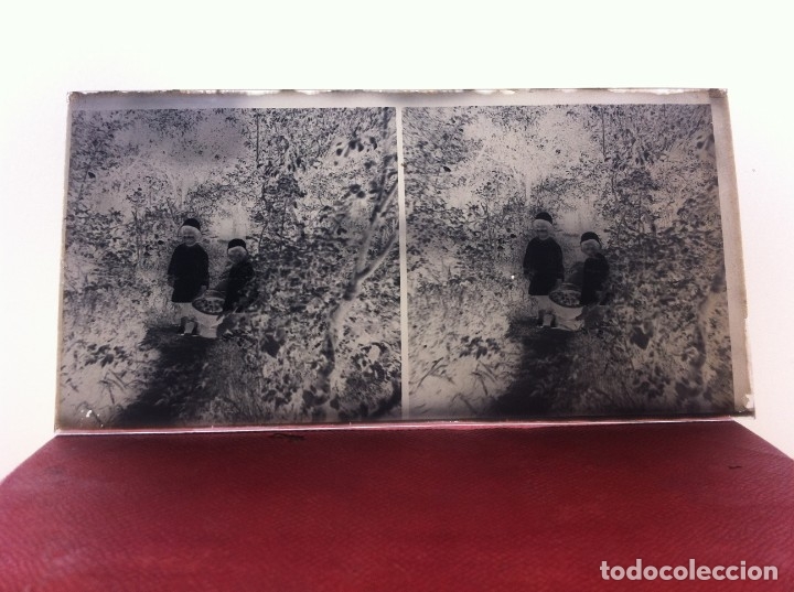 Fotografia antiga: CRISTAL ESTEREOSC&Oacute;PICO. NI&Ntilde;OS RECOGIENDO FRUTA EN UNA CESTA.