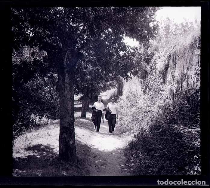 Photographie ancienne: Norte de Espa&ntilde;a. Dos se&ntilde;ores en pleno campo. c.1930