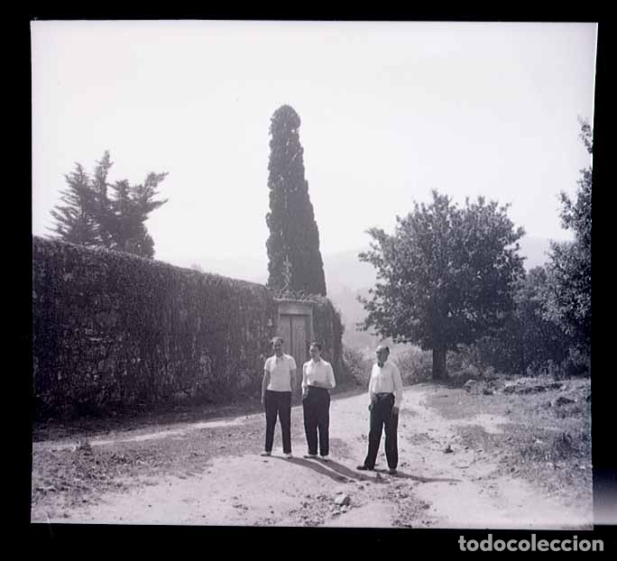 Fotografia antica: Norte de Espa&ntilde;a. Cementerio. Cipr&eacute;s. Tres caballeros. c.1930
