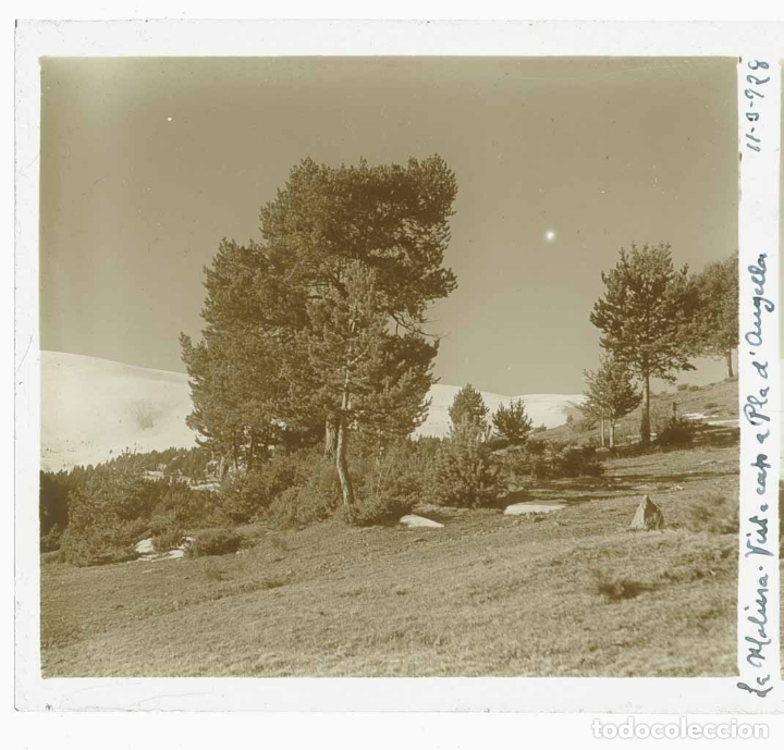 Photographie ancienne: CENTRE EXCURSIONISTA DE CATALUNYA.Pla de l'Anyella. La Molina. 11/3/1928