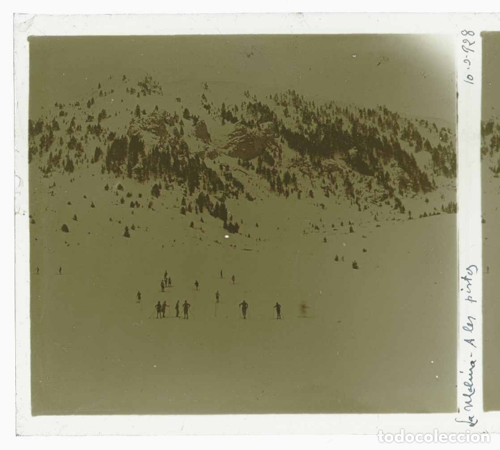 Fotografia antica: CENTRE EXCURSIONISTA DE CATALUNYA. Les pistes. Esqu&iacute;. La Molina. 11/3/1928