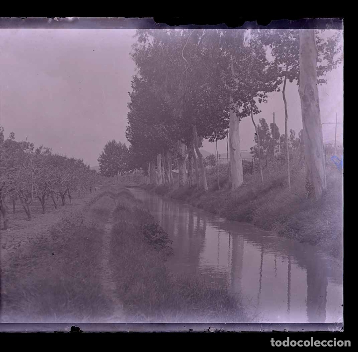 Photographie ancienne: BAIX LLOBREGAT. Huertos. Canal. c. 1930