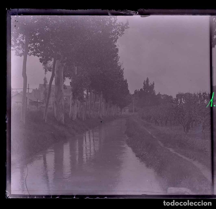 Fotografia antica: BAIX LLOBREGAT. Canal. Huertos Frutales. c. 1930