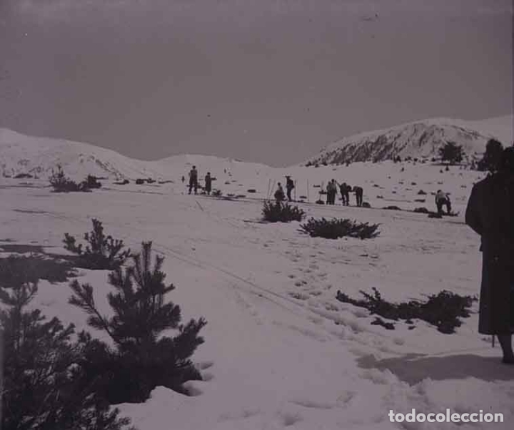 Antique Photography: LA MOLINA. Nieve. Esquiadores. c. 1930
