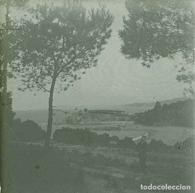 Fotografia antica: Costa Brava. Paisaje. c. 1930