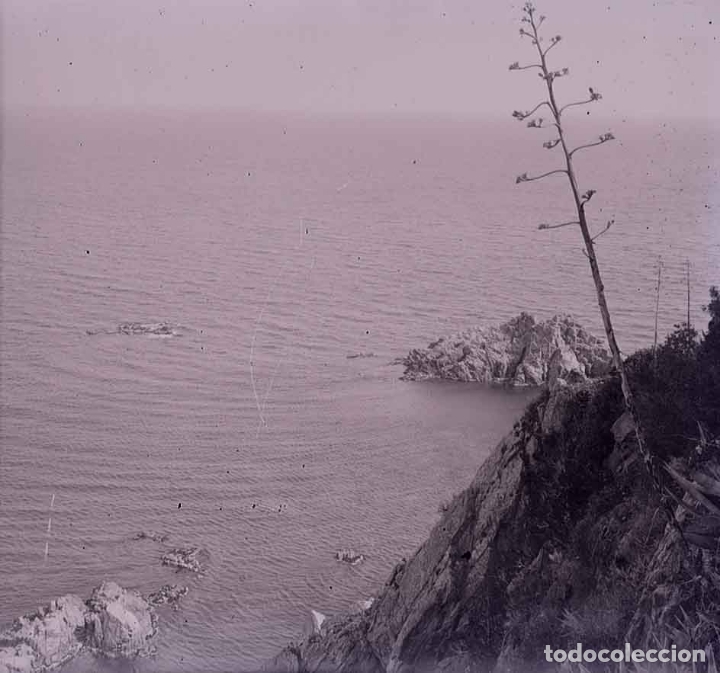 Fotografia antica: Costa Brava. Acantilado. c. 1920