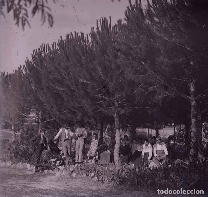 Fotografia antica: Excursionistas. Pinos. c. 1925