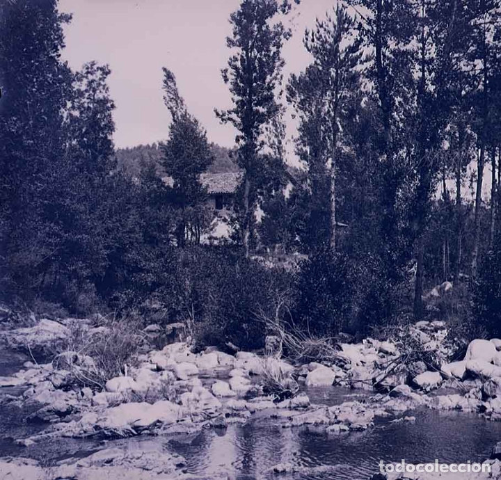 Fotografia antiga: R&iacute;o. Bosque. Casas. Lugar sin identificar. c.1925
