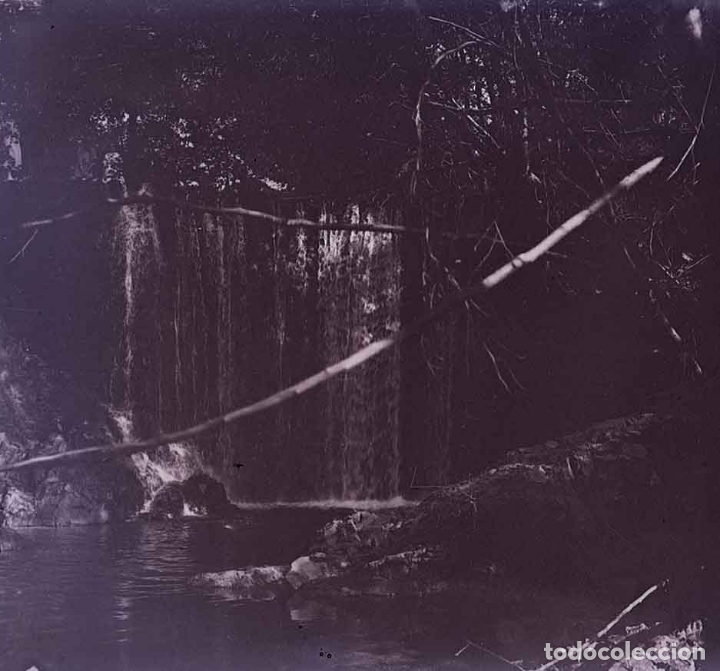 Fotografia antica: R&iacute;o. Bosque. c. 1930