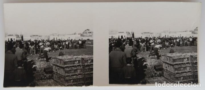Fotografia antica: TIRO DE PICHON A BRAZO 2 ESTEREOSCOPICAS