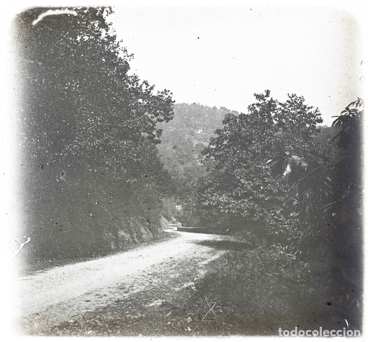 Fotograf&iacute;a antigua: BORINES ASTURIAS SEPTIEMBRE 1923 POSITIVO DE CRISTAL