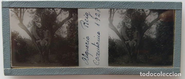Fotograf&iacute;a antigua: ALQUERIA DE REIG COCENTAINA 1928  POSITIVO DE CRISTAL