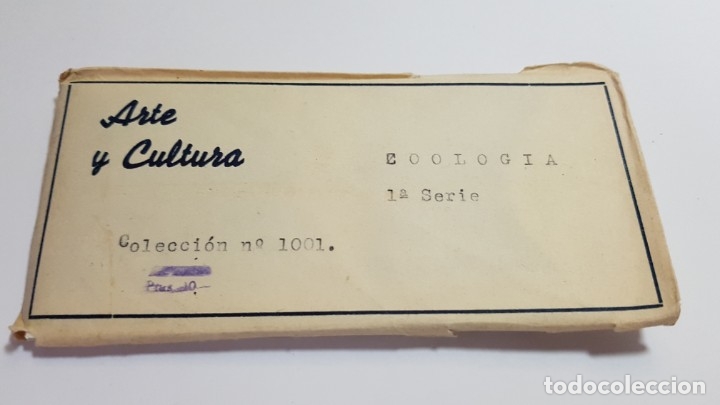 Fotografia antiga: RELLEV - VISTAS ESTEREOSCOPICAS ARTE Y CULTURA - COLECCION 1001 ZOOLOGIA SERIE - 15 fotos