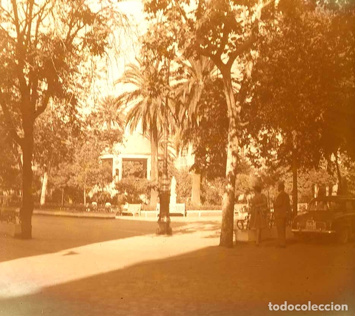 Photographie ancienne: CANARIAS. Parque. Se&ntilde;ores. 1960