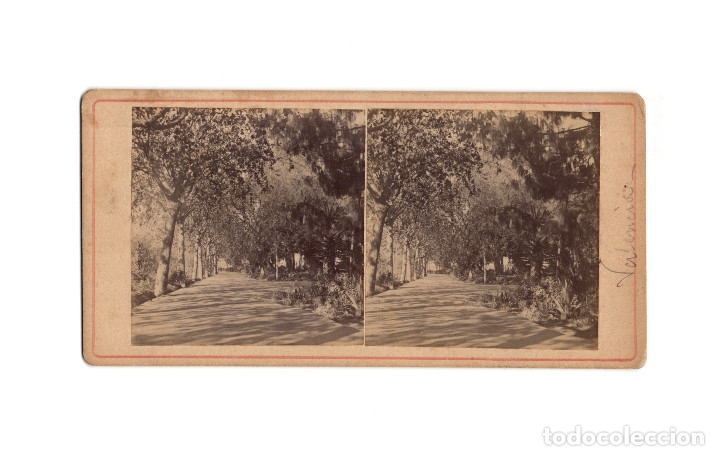 Fotograf&iacute;a antigua: VALENCIA.- PARQUE. - Foto 1