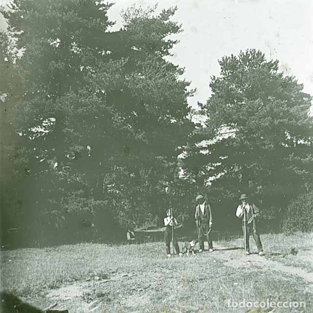 Antique Photography: Bosque. Tres se&ntilde;ores en un prado. c. 1915